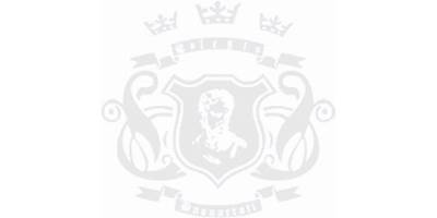 COLEGIO MIGUEL ANGEL BUONAROTTI PLANTEL DESFOGUE