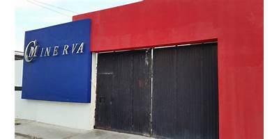 COLEGIO MINERVA