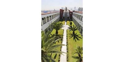 COLEGIO MINERVA