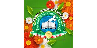 COLEGIO MONTESSORI DE MEXICO
