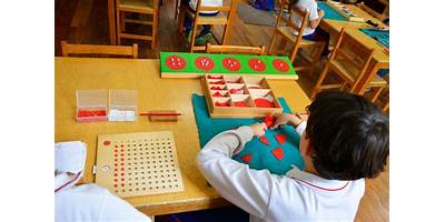 COLEGIO MONTESSORI DEL BOSQUE