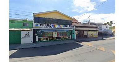 COLEGIO MONTESSORI DEL ROBLE