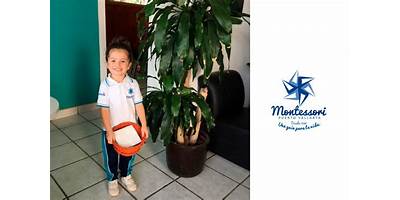 COLEGIO MONTESSORI