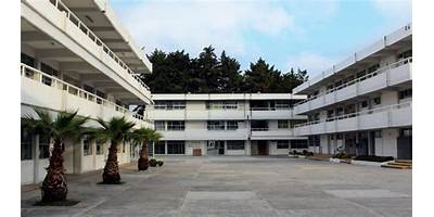 COLEGIO PEDAGOGICO MATUTINO