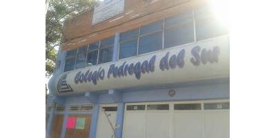 COLEGIO PEDREGAL DEL SUR