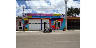COLEGIO PEQUEÑOS GRANDES GENIOS
