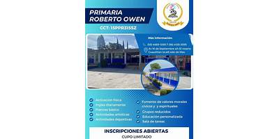 COLEGIO ROBERTO OWEN
