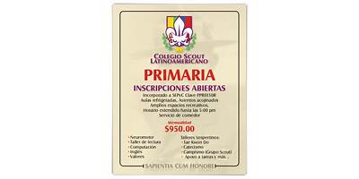 COLEGIO SCOUT LATINOAMERICANO A.C.