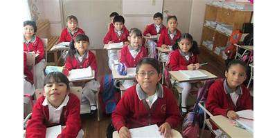 COLEGIO SIGLO XXI