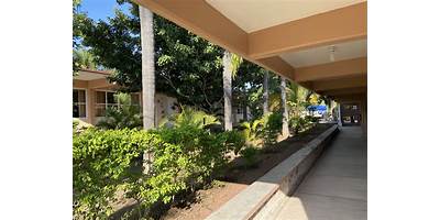 COLEGIO VENADOS DE MAZATEPEC