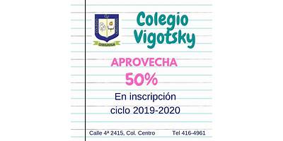 COLEGIO VIGOTSKY