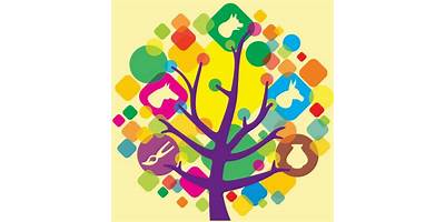 COMUNIDAD CAMPESTRE INFANTIL