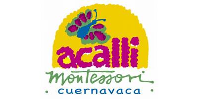 COMUNIDAD EDUCATIVA ACALLI