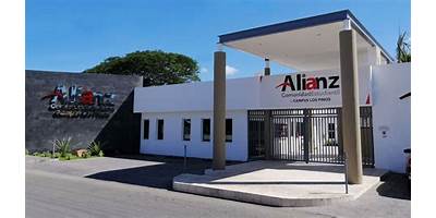 COMUNIDAD EDUCATIVA ALIANZ LOS PINOS