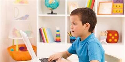 COMUNIDAD EDUCATIVA LITTLE GENIUS