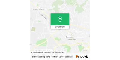 CONCEPCION BECERRA DE CELIS