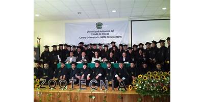 CONSTITUCION