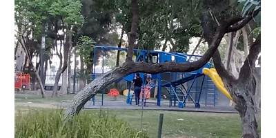 CONVIVENCIA FAMILIAR