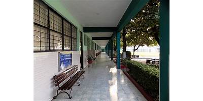 DOROTEO ARANGO
