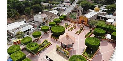 EL AGUA DEL SAUCO