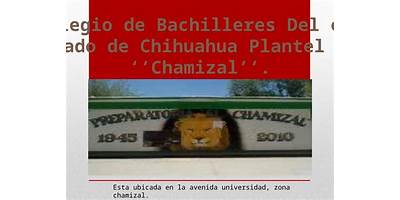 EL CHAMIZAL