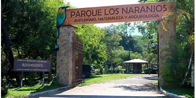 EL LLANO DE LOS NARANJOS