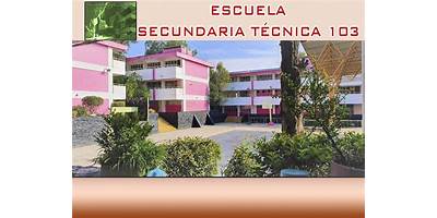 ESCUELA SECUNDARIA TECNICA 103