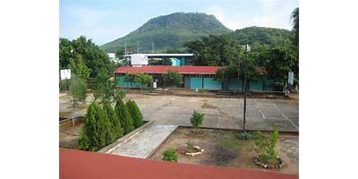 ESCUELA SECUNDARIA TECNICA 87