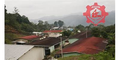 ESCUELA SECUNDARIA TECNICA 99