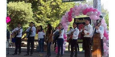 ESCUELA SECUNDARIA TECNICA NUM. 64