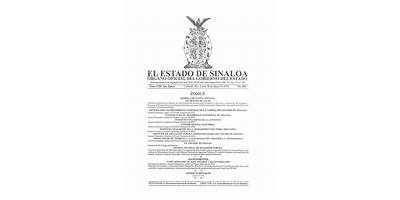 ESTATUTO JURIDICO