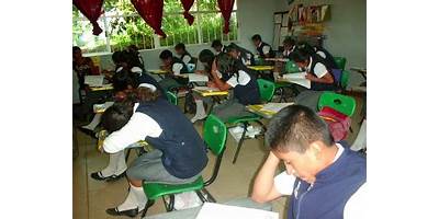 Imagen de la galería