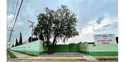 GABRIEL ALCOCER