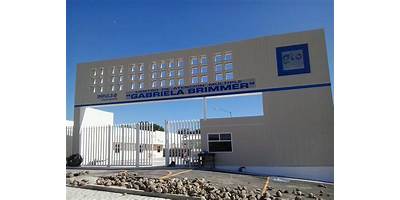 GABRIELA BRIMMER