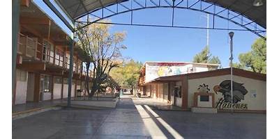 GENARO SALINAS QUIROGA
