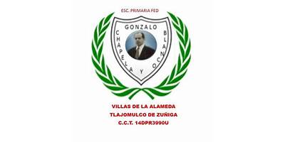 GONZALO CHAPELA Y BLANCO
