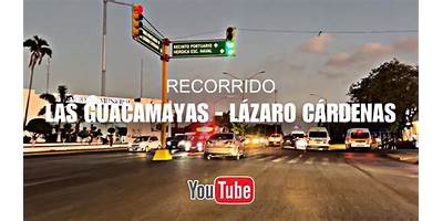 GUACAMAYAS