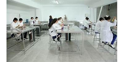 HANDEL SCHOOL