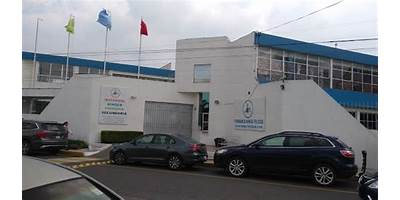 INDIGO INSTITUTE