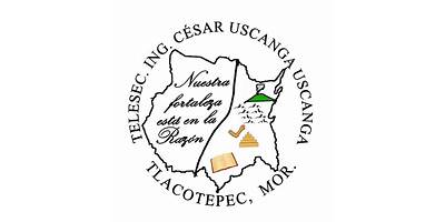 ING. CESAR USCANGA USCANGA