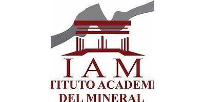 INSTITUTO ACADEMICO DEL MINERAL