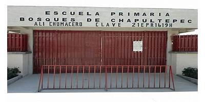 INSTITUTO ALI CHUMACERO