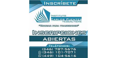INSTITUTO CARLOS FUENTES