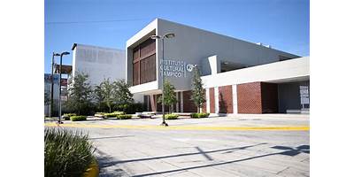 INSTITUTO CULTURAL TAMPICO, A.C.