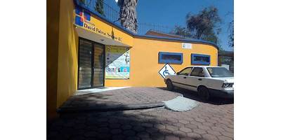 INSTITUTO DAVID PALMA SEOANE, A.C.
