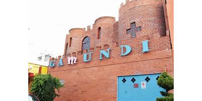 INSTITUTO GAMUNDI