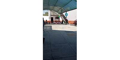 INSTITUTO LUIS GARIBAY GUTIERREZ