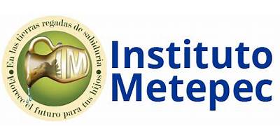 INSTITUTO METEPEC CAMPUS CALIMAYA SC