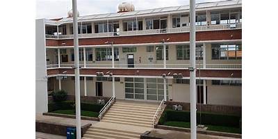 INSTITUTO MEXICANO REGINA