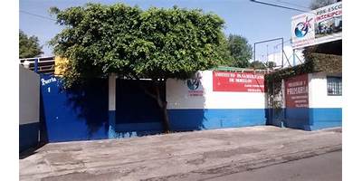 INSTITUTO PANAMERICANO DE MORELOS